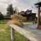 BUBLA CITY RANCH