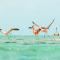 Ambergris Cay Private Island All Inclusive - Island Hopper Flight Included - Big Ambergris Cay