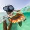 Ambergris Cay Private Island All Inclusive - Island Hopper Flight Included - Big Ambergris Cay