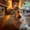 Anerada inn Suites & Spa - Pet Friendly - 卡尔派尼西翁
