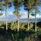 Woodside Cabin