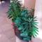 Luxury large 2 bedroom Apartment 10 min walk to Villamartin Plaza