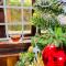 Hidden Hue Homestay