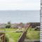 Puffin View