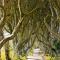 Hastings Apartments Extra Large Self Catering Apt Tourism Certified Free Parking WiFi