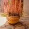 Munga Eco-Lodge