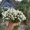 Royal mountain view Ratchaburi