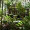 Songbirds Rainforest Retreat - Mount Tamborine