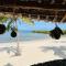 Mwazaro Beach Lodge - Shimoni