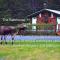 Alaska Creekside Cabins in Seward