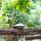 Birds Paradise Cabanas Unawatuna