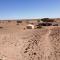 Nomads Life Style