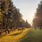 Pohorje Village Wellbeing Resort - Forest Hotel Videc - Hočko Pohorje