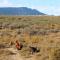 Alchemy Retreat - Entire Karoo Guest Farm - Barrydale - Goedgeloof