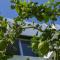 Melis Villa - Charming villa in Central Protaras