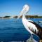 Reflections Forster Beach - Holiday Park - فورستر