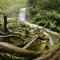 Redwoods Rest / Cabins / Wander & Explore - Beech Forest