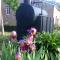 Randells Mill - Adelaide Hills - Romantic Loft Stays