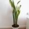 3 bdr aprt, best seaview, rooftop pool - LCGR 3 bdr aprt, best seaview, rooftop pool - LCGR
