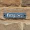 Foxglove - ويتبي
