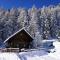 Bergheim Schmidt, Almhütten im Wald Appartments an der Piste Alpine Huts in Forrest Appartments near Slope