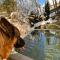 Pias Nature Retreat