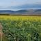 Annas Farm Stay