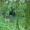Le Moulin de L'O - L'Orle Nature - Semur-en-Auxois