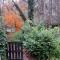 comfortable chalet in a unique location in forest - Essen