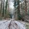 The Beehive - Self catering in the heart of the Forest of Dean