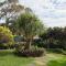 Maluhia Retreat