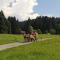 Hotel Bergblick