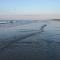 The Beach Is Calling