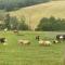 Gite à la ferme avec jacuzzi et piscine chauffée - Saint-Félix-de-Tournegat