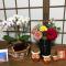 Fukurou no Oyado - Vacation STAY 71243v