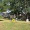 A Cozy Cape house steps to Restaurants & Beaches ~1.4 miles down scenic roads