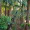 3 bedroom country home with a lush full backyard - Thrissur