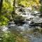 A River Runs Through It