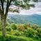 Celestial View - Blowing Rock
