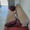 Residencial do Angelo - Pinheira
