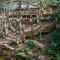 Wounded Fork - Valle Crucis