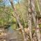 Wounded Fork - Valle Crucis