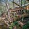 Wounded Fork - Valle Crucis