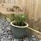 Little Elm - luxury home from home, free parking, 30-40 mins walk from Bath city centre