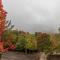 Three Little Bears at Eagles Nest - بانير إلك
