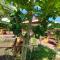 Brown House Resort