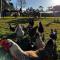 Breemiloy Homestead Hunter Valley - Farm stay. - Abernethy