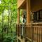 Vythiri Mist Resort