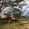 Mara River Lodge