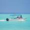 Tropica Thoddoo Inn, Maldives